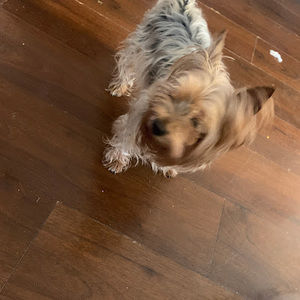 Meet your Posher, Kelly